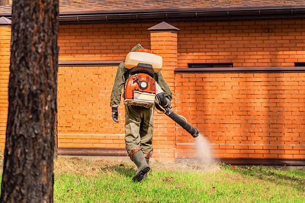 Bed Bug Clearance Verification and Documentation in Meadowdale